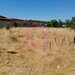 GIURGIU - SE VINDE TEREN 1800 MP IN SAT TEISORI